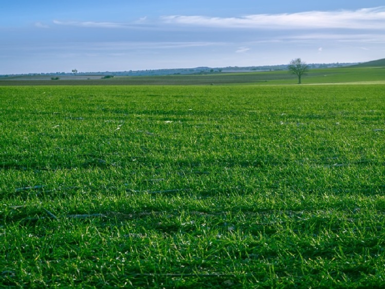 ARiMR przypomina rolnikom realizującym zobowiązania ekologiczne lub zobowiązania rolno-środowiskowo-klimatyczne